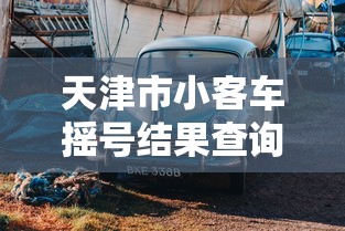 天津市小客车摇号结果查询,天津市小客车摇号结果查询指南