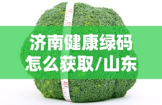 济南健康绿码怎么获取/山东健康码怎么注销