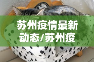 北京新增12例本土感染者/北京新增12例本土感染者行动轨迹