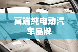 高端纯电动汽车品牌,高端纯电动汽车品牌盘点