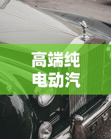 高端纯电动汽车品牌 高端纯电动汽车品牌