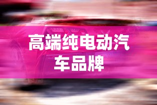 高端纯电动汽车品牌 高端纯电动汽车品牌
