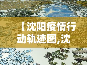 【沈阳疫情行动轨迹图,沈阳疫情最新消息2024年】