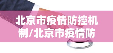 北京市疫情防控机制/北京市疫情防控指挥部
