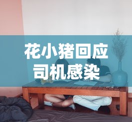 花小猪回应司机感染，花小猪回应司机感染