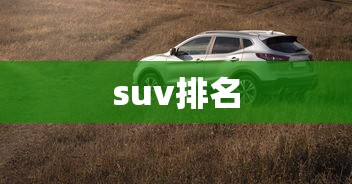 suv排名 suv排名