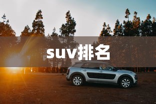 suv排名 suv排名