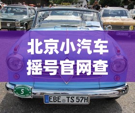 北京小汽车摇号官网查询系统