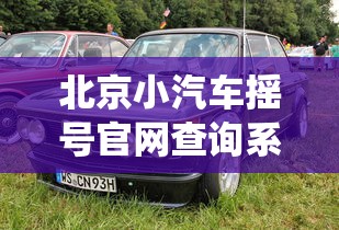 北京小汽车摇号官网查询系统,北京小汽车摇号官网查询系统入口