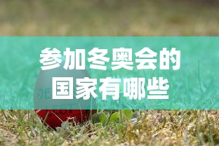 参加冬奥会的国家有哪些