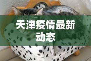 天津疫情最新动态，天津疫情最新动态与防控措施通报