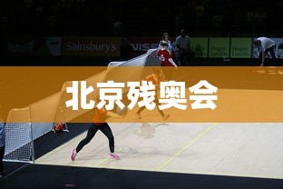 北京残奥会，北京残奥会，生命的奇迹与拼搏的舞台