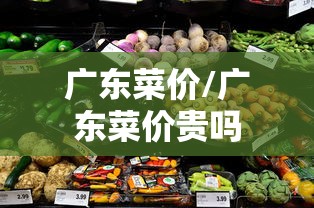 广东菜价/广东菜价贵吗