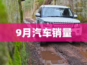 9月汽车销量，9月汽车销量出炉，多家车企创历史新高