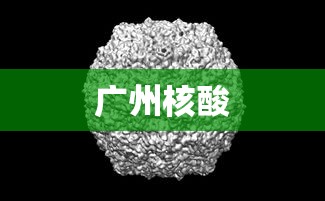 广州核酸，广州核酸最新安排