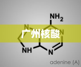 广州核酸 广州核酸