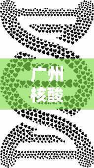 广州核酸 广州核酸