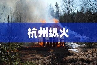 杭州纵火，杭州保姆纵火案