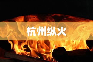 杭州纵火