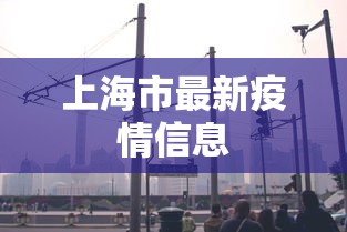 上海市最新疫情信息