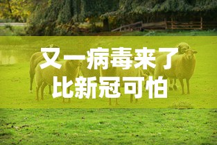 又一病毒来了比新冠可怕