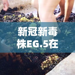 新冠新毒株EG.5在美流行 新冠新毒株EG.5在美流行