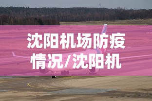 沈阳机场防疫情况/沈阳机场最新进展
