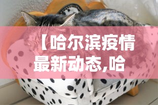 【哈尔滨疫情最新动态,哈尔滨疫情开始与结束的时间】