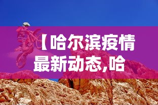 【哈尔滨疫情最新动态,哈尔滨疫情开始与结束的时间】