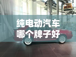 纯电动汽车哪个牌子好 纯电动汽车哪个牌子好