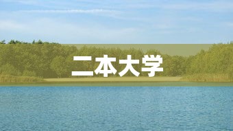 二本大学,二本大学