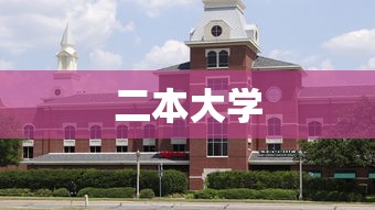 二本大学