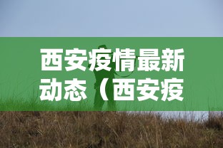 西安疫情最新动态（西安疫情2020）