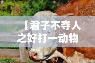 【君子不夺人之好打一动物生肖,君子不夺人之好代表什么生肖】
