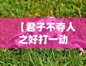 【君子不夺人之好打一动物生肖,君子不夺人之好代表什么生肖】 【君子不夺人之好打一动物生肖,君子不夺人之好代表什么生肖】
