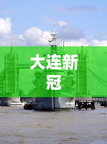 大连新冠，大连新冠疫情防控