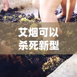 艾烟可以杀死新型冠状病毒吗（艾烟可以除螨虫吗）