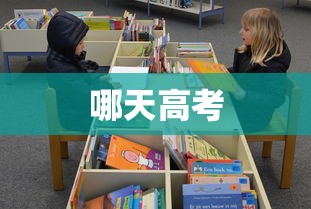 哪天高考