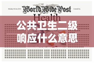 公共卫生二级响应什么意思