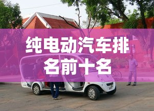 纯电动汽车排名前十名，2024年纯电动汽车排名前十名