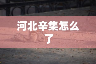 河北辛集怎么了,河北辛集近期因环保问题被通报。