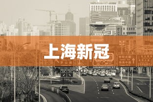 上海新冠 上海新冠