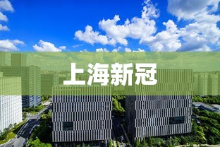 上海新冠 上海新冠