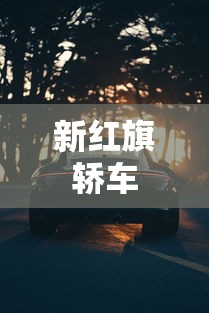 新红旗轿车,新红旗轿车,东方豪华的新标杆