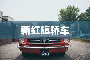 新红旗轿车 新红旗轿车