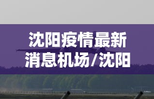 沈阳疫情最新消息机场/沈阳疫情最新消息机场防疫政策