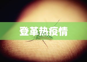登革热疫情，全球登革热疫情持续蔓延