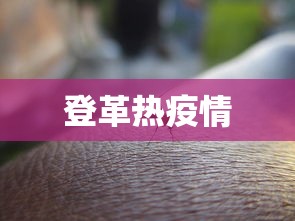 登革热疫情 登革热疫情