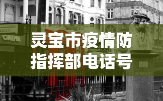 灵宝市疫情防指挥部电话号码（灵宝市疾控中心官网）