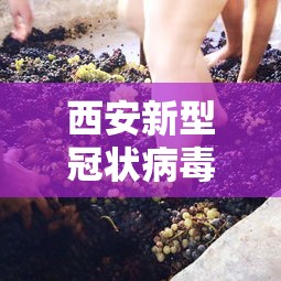 西安新型冠状病毒:西安新冠最新进展